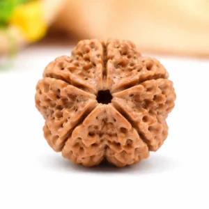 Original 5 Mukhi Rudraksha – Peace & Protection Bead