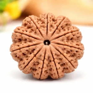 Original 11 Mukhi Rudraksha – Courage & Spiritual Power Bead